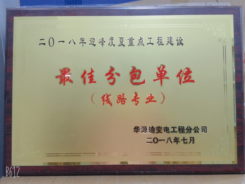 2018年迎峰度夏重點(diǎn)工程建設(shè)最佳分包單位.jpg